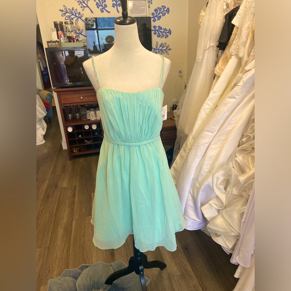 NWT David’s Bridal Formal Dress